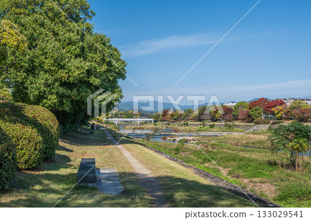 京都市鴨川的秋景 133029541
