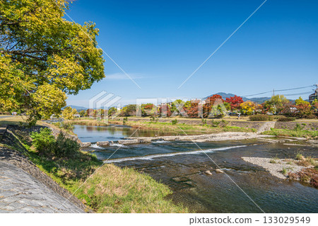 京都市鴨川的秋景 133029549