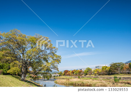 Autumn scenery of the Kamo River, Kyoto City 133029553