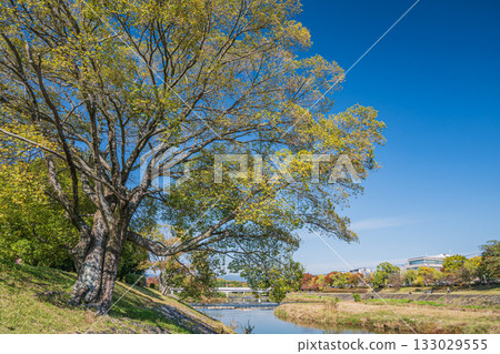 Autumn scenery of the Kamo River, Kyoto City Autumn scenery of the Kamo River, Kyoto City 133029555