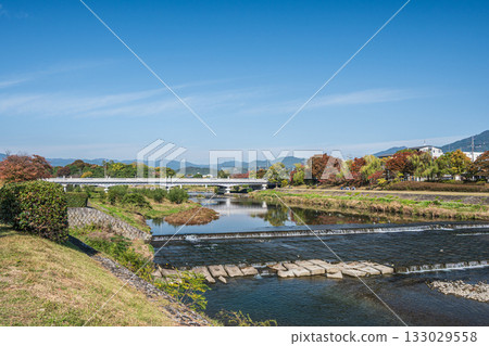 Autumn scenery of the Kamo River, Kyoto City 133029558