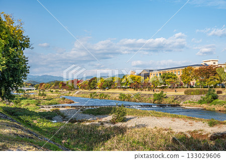 Autumn scenery of the Kamo River, Kyoto City 133029606
