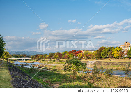 Autumn scenery of the Kamo River, Kyoto City Autumn scenery of the Kamo River, Kyoto City 133029613