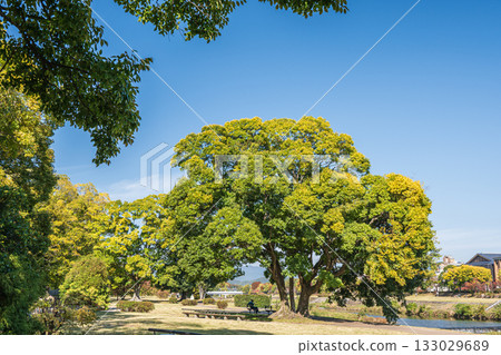 京都市鴨川的秋景 京都市鴨川的秋景 133029689