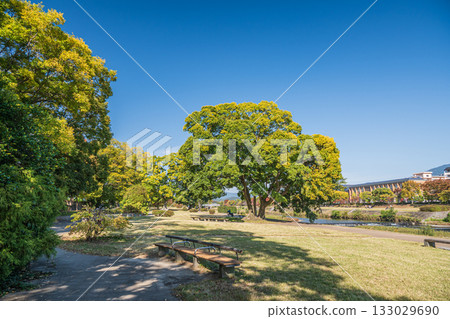 京都市鴨川的秋景 133029690
