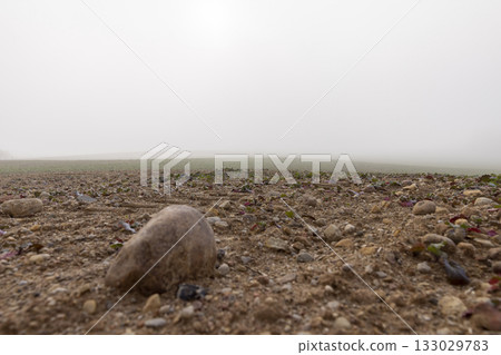 big field plowed in autumn for spring sowing, cloudy weather in the autumn season, fog in autumn on the agricultural field big field plowed in autumn for spring sowing, cloudy weather in the autumn season, fog in autumn on the agricultural field 133029783