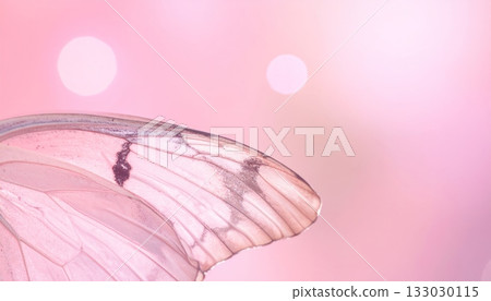 A beautiful swallowtail butterfly with blue and yellow wings on a pink background. A beautiful swallowtail butterfly with blue and yellow wings on a pink background. 133030115