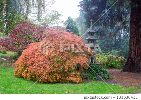 AUTUMN LEAF COLOR IN Japanese GARDEN IN Leverkusen 133030415