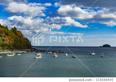 Shimizu Fishing Port, Minamisanriku Town, Miyagi Prefecture 133030435