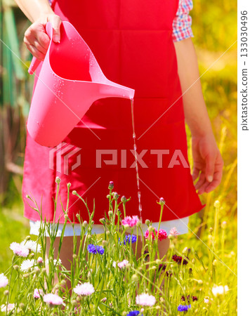 woman watering plants in garden 133030496