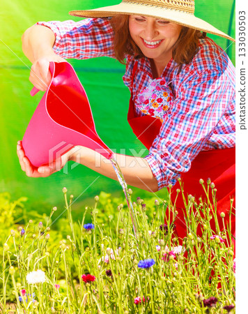 woman watering flowers in garden woman watering flowers in garden 133030503