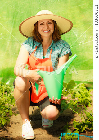Woman watering green tomato plants in greenhouse 133030511