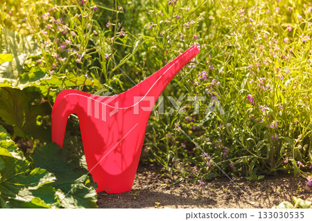 red water can in garden red water can in garden 133030535
