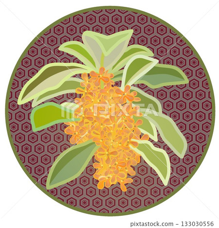 Illustration of osmanthus with circular background Illustration of osmanthus with circular background 133030556