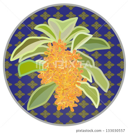 Illustration of osmanthus with circular background Illustration of osmanthus with circular background 133030557