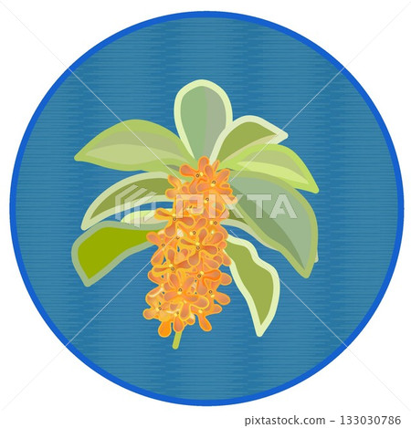 桂花插圖，背景為圓形 133030786