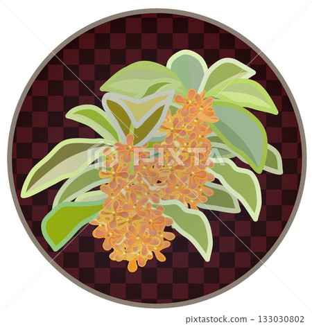 Illustration of osmanthus with circular background Illustration of osmanthus with circular background 133030802