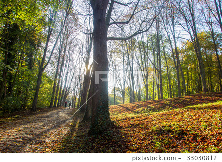 Amazing SUNny autumn day  in park of  Paris or Rouen or Nantes : 2 persons jogging or walking 133030812
