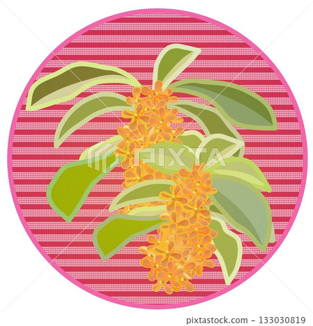 桂花插圖,背景為圓形 桂花插圖,背景為圓形 133030819