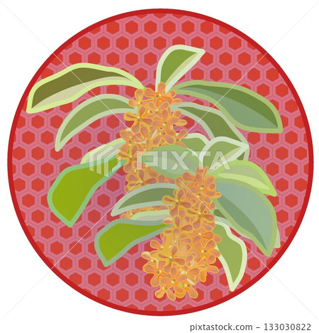 桂花插圖,背景為圓形 桂花插圖,背景為圓形 133030822