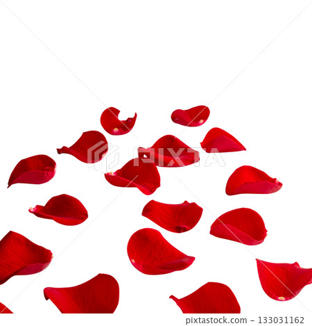 Red rose petals scattered on a white background 133031162
