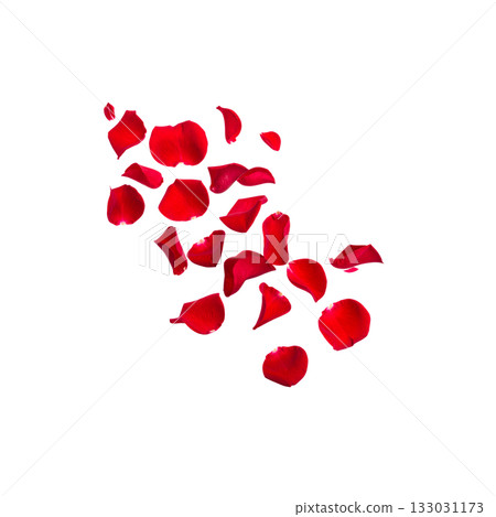 Red rose petals scattered on a white background Red rose petals scattered on a white background 133031173