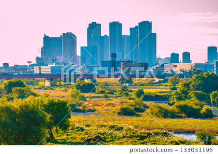 日本東京城市景觀，11月12日。清晨，可以看到多摩川、日本蒲葦草和武藏小杉車站前的塔樓公寓。 133031196