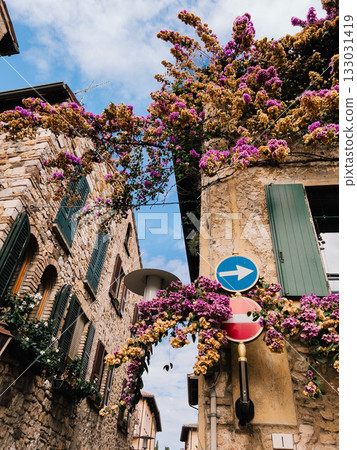 Colorful bougainvillea flowers are growing over walls of buildings and road signs in charming alley of Assisi, creating vibrant and romantic atmosphere. Vibrant bougainvillea cascading over stone wall 133031419