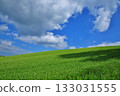 Summer cloud 133031555