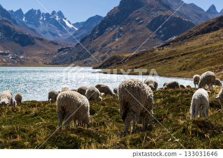 Aerial view of the Querococha lagoon, in the Ancash region. Aerial view of the Querococha lagoon, in the Ancash region. 133031646