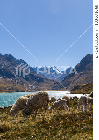 Aerial view of the Querococha lagoon, in the Ancash region. Aerial view of the Querococha lagoon, in the Ancash region. 133031669