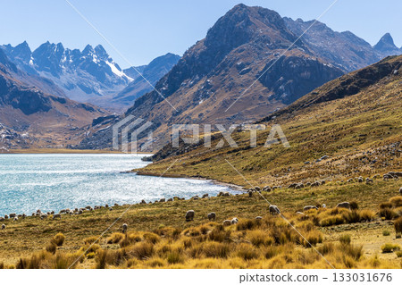 Aerial view of the Querococha lagoon, in the Ancash region. Aerial view of the Querococha lagoon, in the Ancash region. 133031676