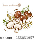 Cute white mushrooms and brown mushrooms | Mushroom bop art | Vector illustration 133031957