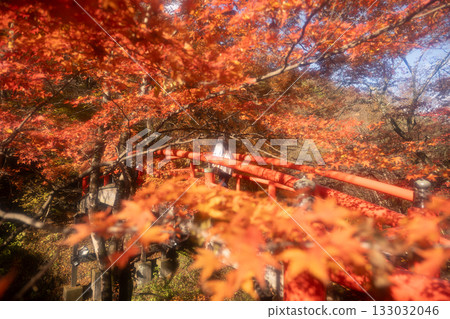 秋日的伊香保溫泉－秋葉映照下的梶賀橋 133032046