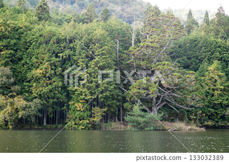 Iwao Ipponsugi, Koka City, Shiga Prefecture 133032389