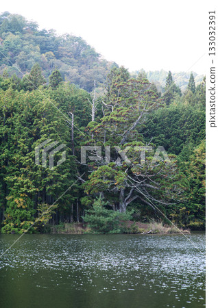 Iwao Ipponsugi, Koka City, Shiga Prefecture 133032391