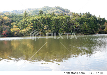 Iwao Ipponsugi, Koka City, Shiga Prefecture 133032400