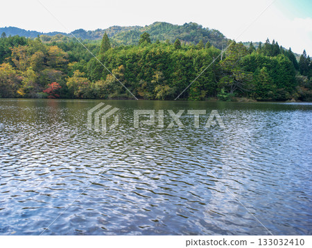 Iwao Ipponsugi, Koka City, Shiga Prefecture 133032410