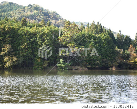 Iwao Ipponsugi, Koka City, Shiga Prefecture 133032412