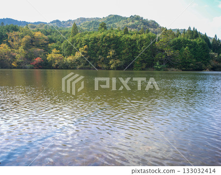 Iwao Ipponsugi, Koka City, Shiga Prefecture 133032414