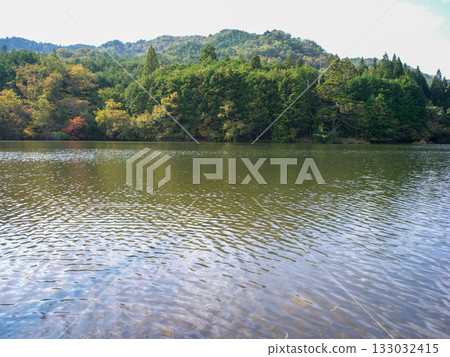 Iwao Ipponsugi, Koka City, Shiga Prefecture 133032415