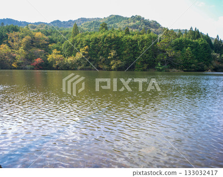 Iwao Ipponsugi, Koka City, Shiga Prefecture 133032417