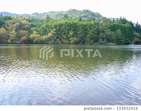 Iwao Ipponsugi, Koka City, Shiga Prefecture 133032418