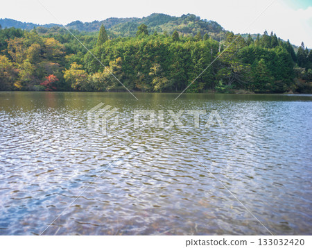 Iwao Ipponsugi, Koka City, Shiga Prefecture 133032420