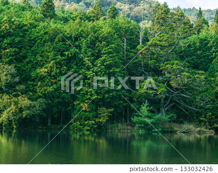Iwao Ipponsugi, Koka City, Shiga Prefecture 133032426