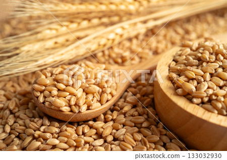 Grains wheat, trade export and economy. 133032930