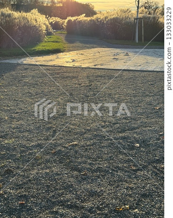 Golden Hour Light on Ornamental Grasses and Gravel Path 133033229