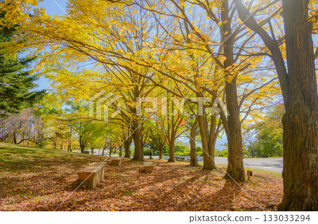 Autumn colors [Matsumoto City Alps Park] 133033294
