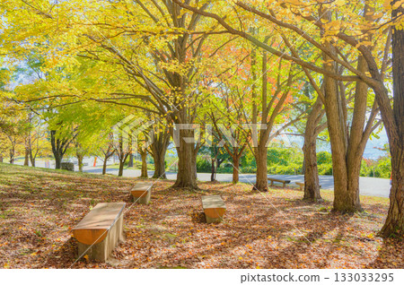 秋色 [松本市阿爾卑斯山公園] 133033295