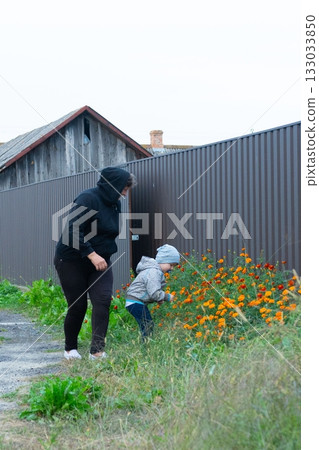 Child and adult admiring flowers near a weathered building and fence. Together they are captivated by the beauty of nature's artwork. 133033850